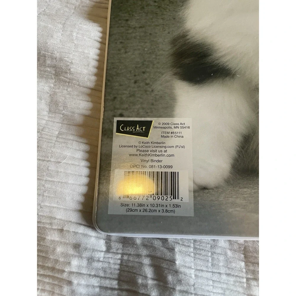 Vintage Y2K Class Act Keith Kimberlin School Binder & 6 Kitten Folders Retro